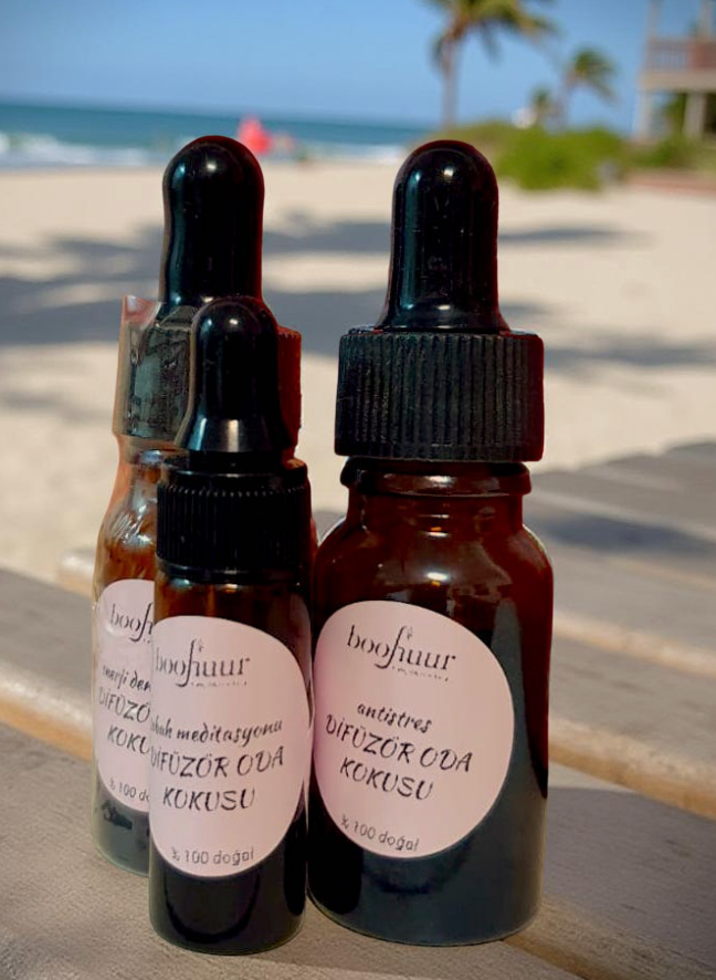 Enerji Dengeleyici Difüzör Oda Kokusu